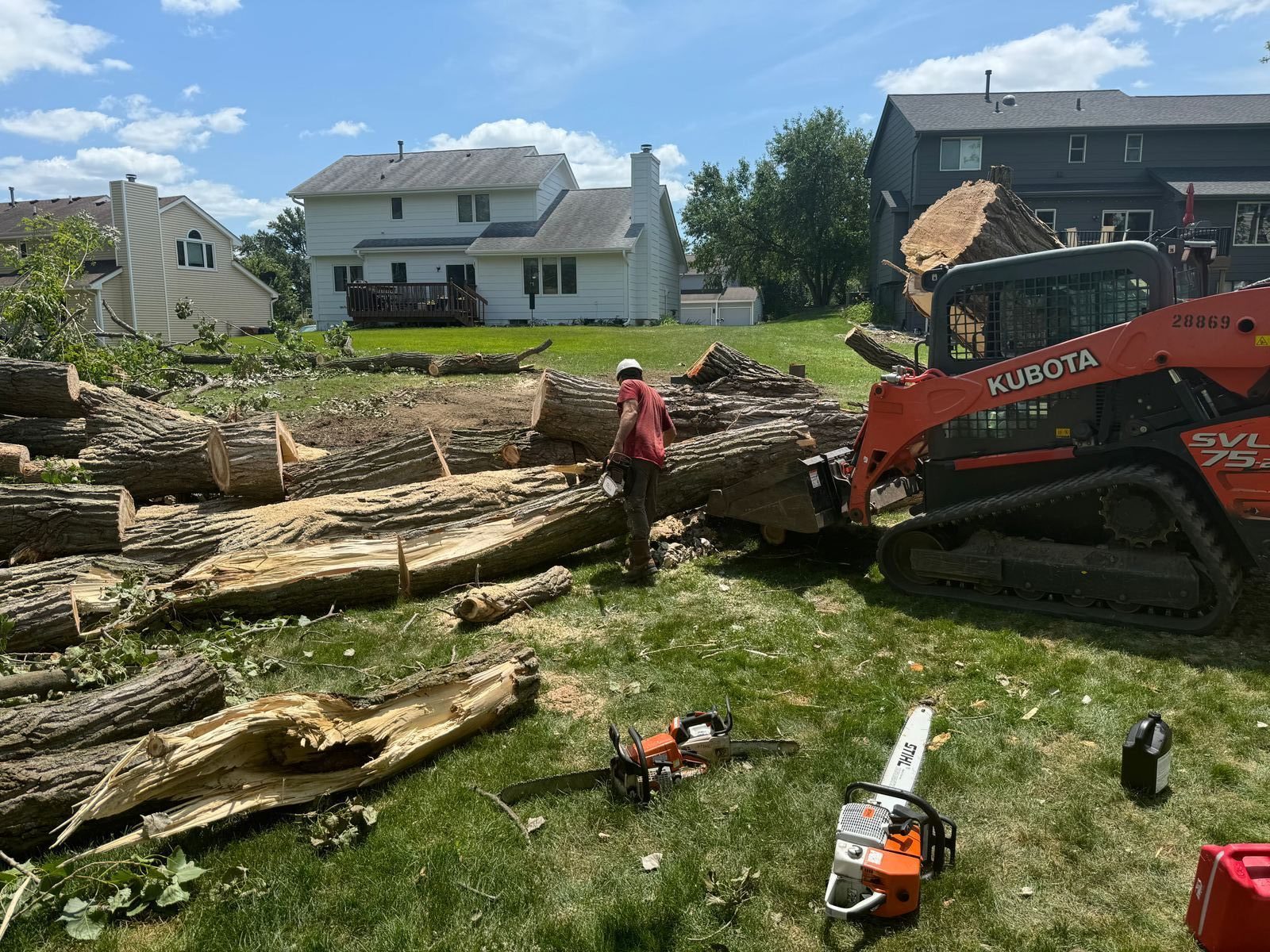 Tree Removal and Trimming